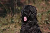 BRIARD 052